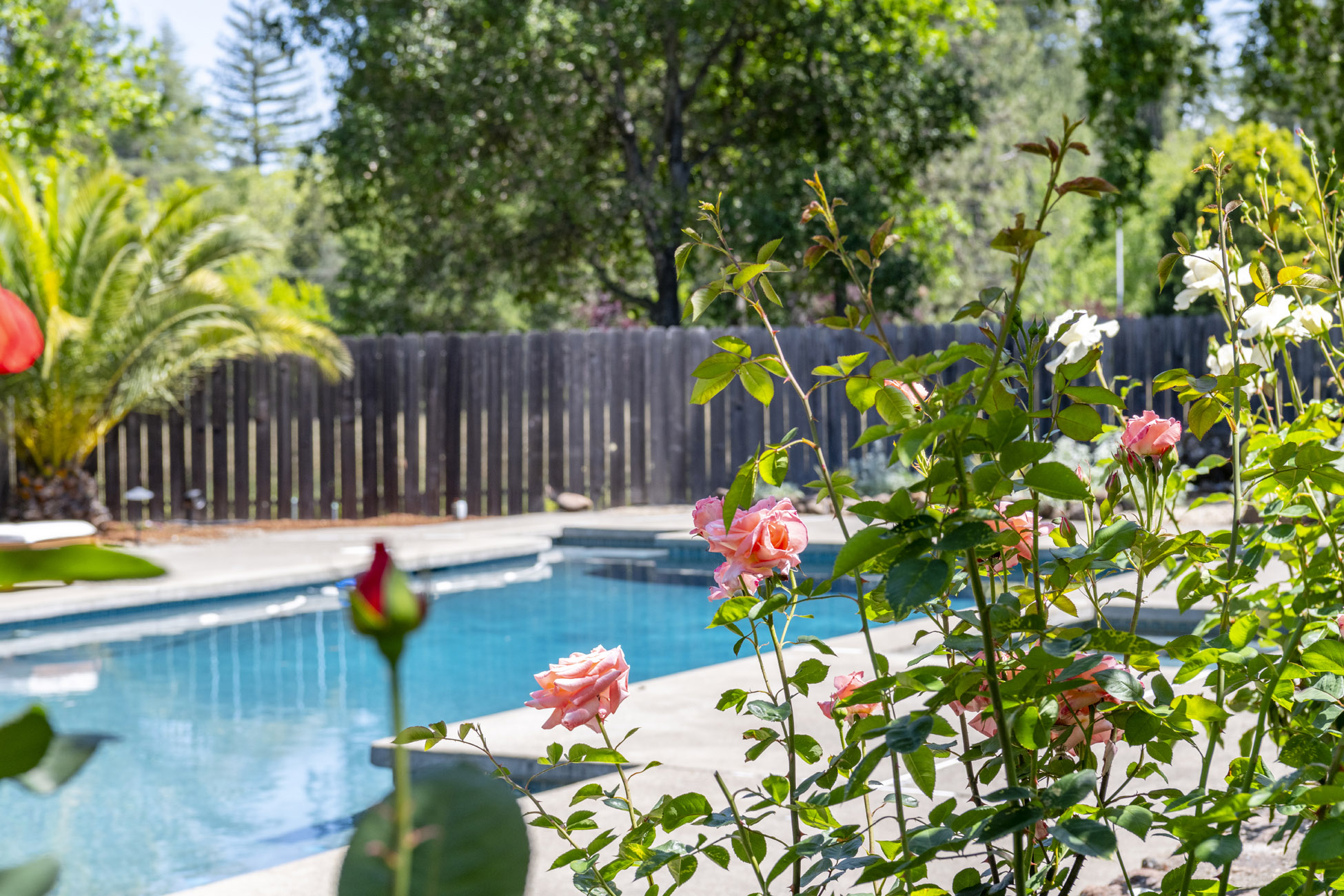 2501 Pinot Way